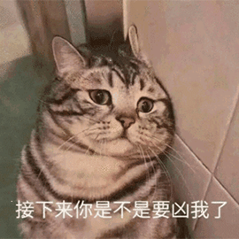 萌宠 猫咪 猫 喵星人 凶我 伤心