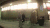 欺负 生活 箱子 搞笑 创意 萌 gif