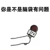 你是不是脑袋有问题 话筒 采访 提问