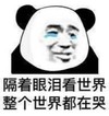 文字表情包 暴漫 隔着眼泪看世界整个世界都在哭 逗 魔性 沙雕