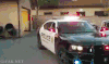 警车 开门 动物 逗比