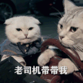 猫星人 老司机带带我 可爱 搞怪 逗