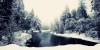 雪 snow nature