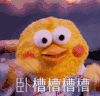 鹦鹉兄弟 卧槽 震惊 懵逼 握草