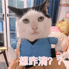 想咋滴 猫 生气 搞怪 逗
