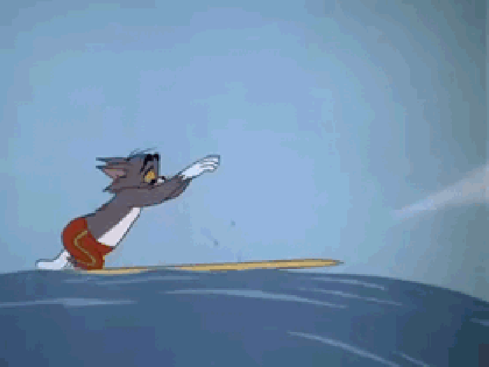 浪花 滑动 滑板 老鼠