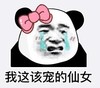 暴漫 文字表情包 我这该宠的仙女 魔性 搞怪 沙雕