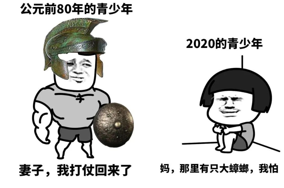 暴漫 熊猫头 那里有只蟑螂我怕 对比 搞怪 逗