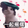 文字表情包 喵星人 萌宠 可爱 鬼畜