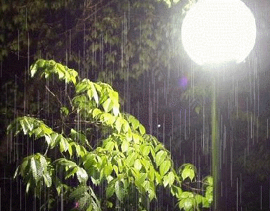 下雨 soogif soogif出品