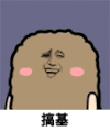 金馆长 猫屎 坏笑 搞基