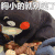 熊本熊  胸小的就别笑了 胸小 别笑了