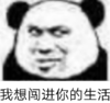 暴漫 文字表情包 我想闯进你的生活 搞笑 逗 沙雕