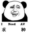 金馆长 微笑 搞怪 求种