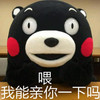 熊本熊 亲你 搞笑 可爱