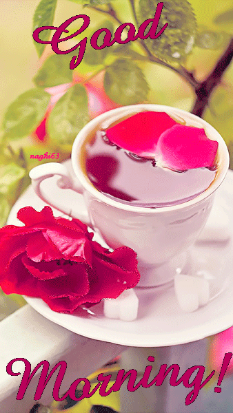 玫瑰花 茶杯 红色 绿叶