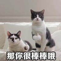 猫咪 直视 手势 那你很棒棒哦