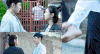 裴秀智 当你沉睡时 明星 歌手