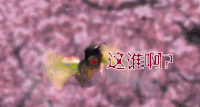 三生三生十里桃花 soogif soogif出品 这谁啊
