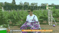 嘚瑟 挑战者联盟 李晨 大黑牛 逗逼