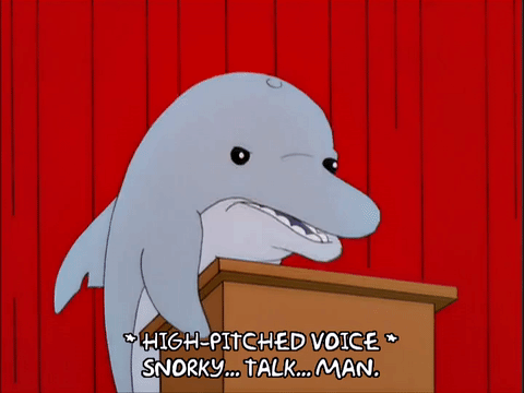海豚 dolphin 发言 卡通