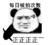 熊猫头 文字表情包 每日被拍次数 正正正正 搞笑 逗 沙雕