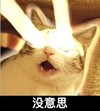 搞笑 喵星人 放光 没意思