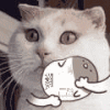 猫叔 卡通 可爱 宝宝睡觉觉 睡觉觉