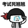 暴漫 文字表情包 考试死翘翘 搞笑 逗 沙雕