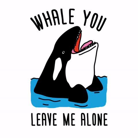 啊 懵逼 ugh whale you leave me alone