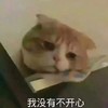 萌宠 猫星人 我没有不开心 难受 搞怪 逗