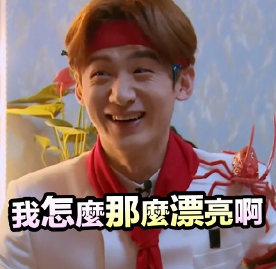 逗 文字表情包 白敬亭 小哥哥 搞笑