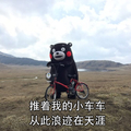 熊本熊 自行车 蓝天 从此流浪在天涯
