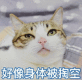 猫咪 喵星人 好像身体被掏空 生无可恋 搞笑