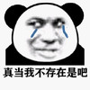 暴漫 熊猫头 真当我不存在是吧 流泪 搞怪 逗