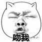 喵 吻我 魔性 恶搞 鬼畜