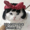 萌宠 喵星人 姐妹你再不出来 我就约别人了 搞怪 逗