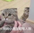 猫咪 可爱 呆萌 斗图 别的小朋友都有人抱了