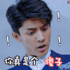 何所冬暖何所夏凉 刘畅 你真是个傻子 无奈 震惊 服气 soogif soogif出品