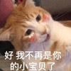 萌宠 猫星人 我不再是你的宝贝了 呆萌 可爱