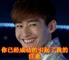 张翰 霸道总裁 你已经成功的引起了我的注意 帅气男神