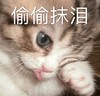 萌宠 猫星人 偷偷抹泪 难过 搞怪 呆萌