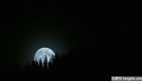 月亮 天黑 升起 树头
