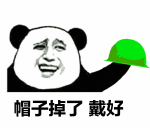 金馆长 熊猫头 绿帽子 帽子掉了 戴好