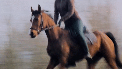 马术 Equestrianism sports 跑 美女