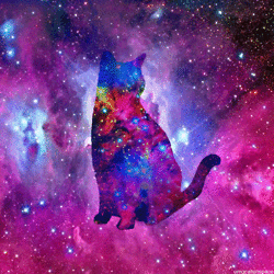 猫 空间 星系 星云
