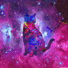 猫 空间 星系 星云