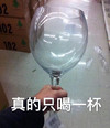 搞怪 真的只喝一杯 搞笑 逗 沙雕