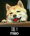 汪汪 狗狗 汪星人 喵 打招呼