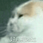 沙雕貓 貓咪 貓 可愛(ài)貓 貓表情包 貓咪表情包 小貓